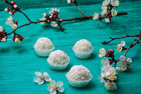 春季甜点食物宏观枝条季节椰子花瓣植物奶油香气果园图片
