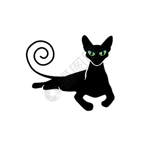 黑猫双月光创造力眼睛动物白色乐趣绿色尾巴精制图片
