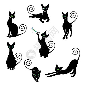 黑猫双影集蓝色动物白色乐趣精制眼睛绿色尾巴昆虫创造力图片