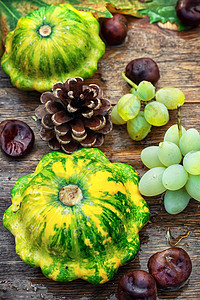 秋天壁球的活生生浆果花园营养饮食叶子葫芦食物乡村季节植物图片