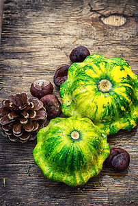秋天壁球的活生生乡村农业食物葫芦季节板栗叶子植物浆果饮食图片