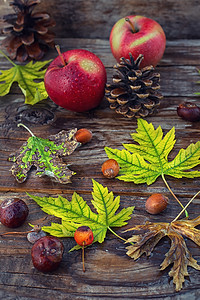 死生秋叶假季节食物木头浆果植物水果活力板栗季节性黄色图片