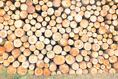woo 的背景堆栈木材材料森林植物日志季节树干棕色图片
