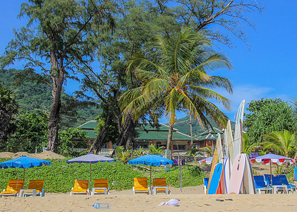 沙滩上冲浪板阳光享受假期气候异国棕榈旅游游泳闲暇情调图片