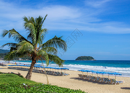 海边海滩上的热带棕榈树天堂闲暇沙滩享受海洋海浪棕榈假期旅游海景图片