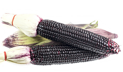 白色背景上孤立的黑玉米农业玉米收成农场棒子内核食物营养蔬菜红色图片