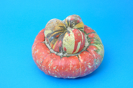 土耳其卡库比塔壁球南瓜葫芦橙色美食季节产品蔬菜图片