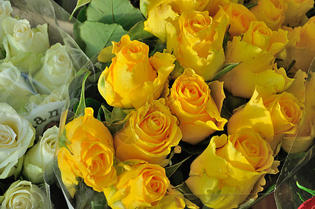 花店外多彩的玫瑰展出植物群贸易黄色植被销售场景城市市场部门商业图片