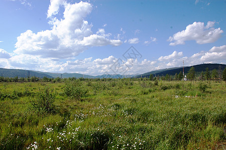 通德拉地区 Bilibino镇Chukotka附近有山丘图片