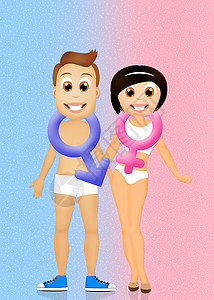 男性和女性符号蓝色身体卡通片性别女士徽章男人粉色插图图片