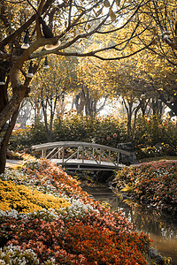 清晨阳光明亮的西普亚彩色 花朵花园中的木桥公园反射植物群风景岩石人行道花园房子棕褐色红色图片