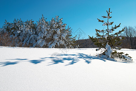 冬天 深雪和脚印踪迹脚步季节蓝色运动远足胜利旅行滑雪打印图片