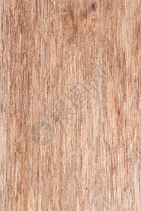 木木纹理材料木材叶子桌子植物控制板硬木风化木板树叶图片