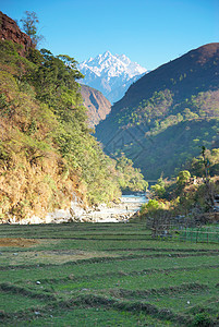 赫马拉扬山丘的稻田收成爬坡食物水池农场生产植物农业传统农村图片