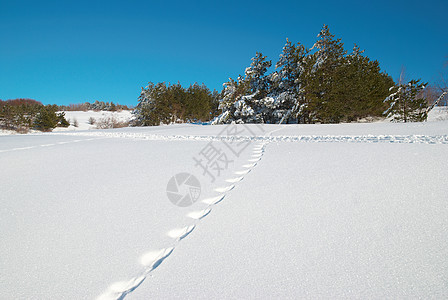 冬天 深雪和脚印蓝色天气远足旅行踪迹阴影滑雪成功季节天空图片