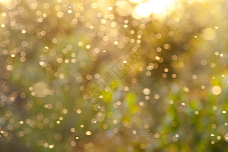日落时的魔林林地生态魔法橙子公园踪迹远足阳光环境荒野图片