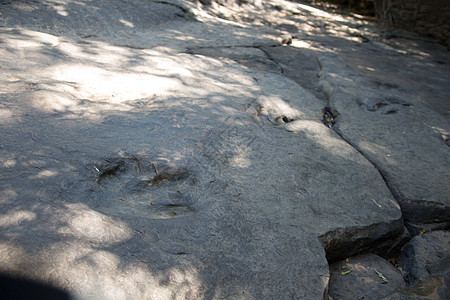 泰王国恐龙足迹的真实详情爬虫积分石头动物群脑油侏罗纪化石公园岩石动物图片