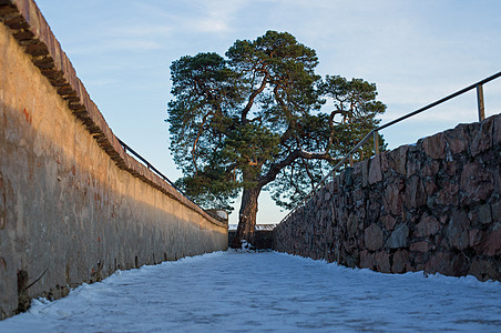 Auerbach城堡Auerbacher城堡废墟上的松树城墙天空秀场古迹纪念馆松木文化蓝色图片