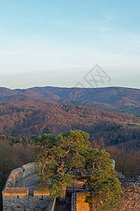 Auerbach城堡Auerbacher城堡废墟上的松树纪念馆蓝色城墙古迹天空秀场文化松木图片