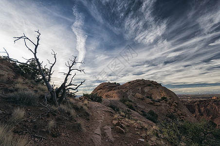 美国Canyonlands国家公园山脉爬坡道天气植物孤独旅行小路公园沙漠生态图片