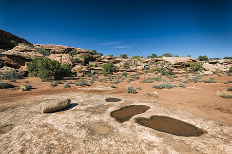 美国Canyonlands国家公园荒野风景假期公园孤独联邦灌木沙漠生态冒险图片