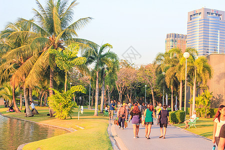 公共公园     泰国沙图查克市场小路环境人行道植物石头场地公园民众绿色美丽图片