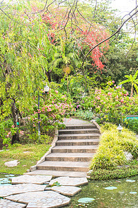 公共公园     泰国沙图查克市场石头小路车道人行道叶子美丽天空树木公园花园图片