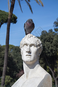 雕像和鸽子博物馆历史性艺术公园历史古董蓝色雕塑家石头庭院图片