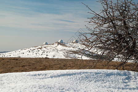 山上的冬树季节雪花滑雪松树场地树木公园蓝色森林天气图片