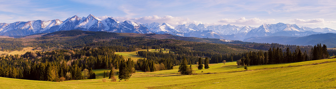 波兰南部春天的雪塔特拉山脉全景Tatra山顶峰旅游草地场地风景森林全景晴天爬坡天空图片