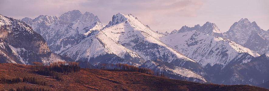 波兰南部春天的雪塔特拉山脉全景Tatra山顶峰天空场地爬坡风景晴天远足草地森林季节图片