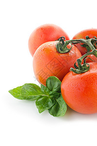 新鲜成熟的西红柿 白底孤立金属叶子食物植物绿色宏观农业沙拉红色生产图片