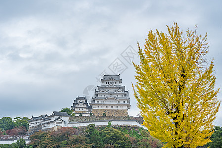 日本的喜木二城堡 也称为白海隆城堡花园历史白鹭世界苍鹭蓝色旅行地标游客观光图片