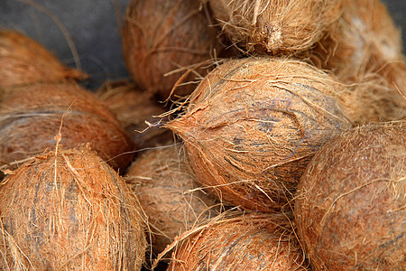 新鲜椰子集团水果食物饮食棕色热带背景图片