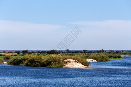 赞比西河岸边天空溪流野生动物公园蓝色地区太阳旅行风景荒野图片