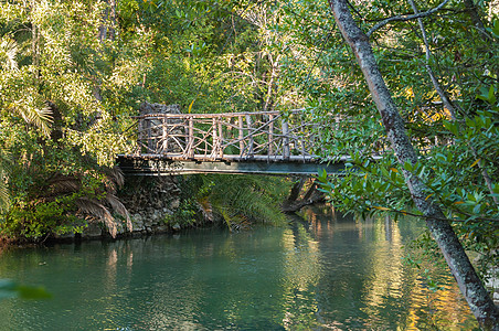 公园中的湖泊和木桥木头叶子棕榈踪迹森林阳光植物花园天桥人行道图片