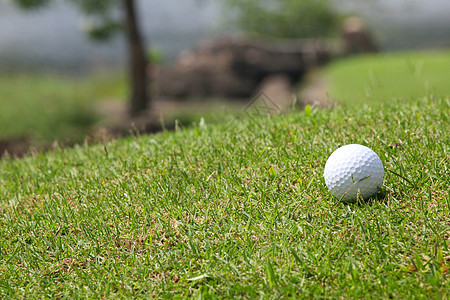 高尔夫球在航道上绿色运动草地课程游戏热带场地俱乐部图片