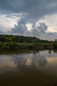 河流森林生态阳光植物公园场景太阳季节旅游旅行图片