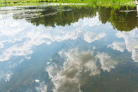 河流森林环境风景溪流公园植物场景天空阳光季节图片