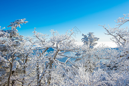 冬天的德宇桑 可丽雅山脉太阳故事天气风景旅游晴天公园爬坡天空图片