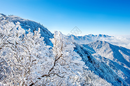 韩国冬季的清晨雾笼罩着Seoraksan山脉山脉风景海雾故事旅游国家晴天爬坡天气森林图片