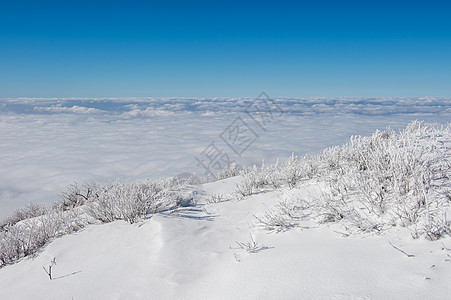 冬季的风景 韩国的Deogyusan公园天空爬坡国家晴天山脉旅游太阳天气森林图片