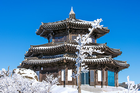 韩国冬季的德雨山图片