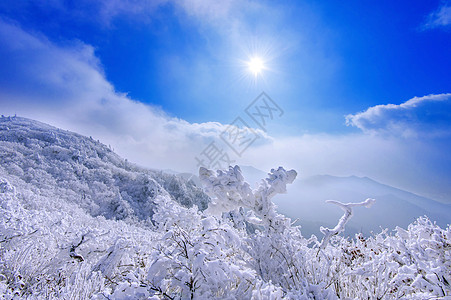 冬雪和清晨雾笼罩着德雨山风景天空故事爬坡薄雾墙纸国家晴天太阳公园图片