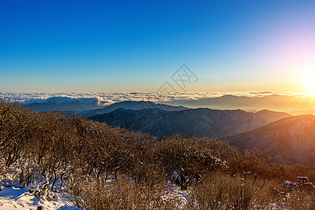 日出时 月亮闪耀着美丽的镜头火光太阳日落森林假期全景顶峰荒野天空季节童话图片