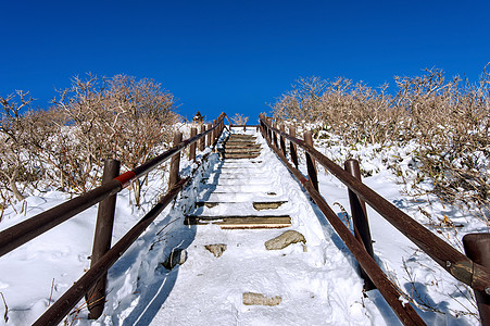 木栏杆冬天在山坡上登木楼梯 南韩的德州山背景