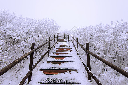 冬天在山坡上登木林楼梯 在苏的德州山森林旅游天气野餐爬坡栏杆日志故事血统天空图片