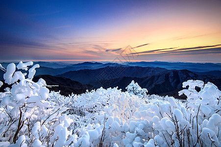 南面冬雪覆盖地表的青柳山上的日出假期童话天空全景风景太阳季节顶峰爬坡旅行图片