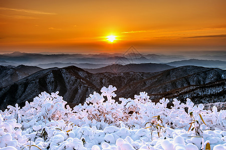 韩国风景德雨山上美丽的日出 在西边满是雪风景太阳天空爬坡全景顶峰旅行日落戏剧性荒野背景