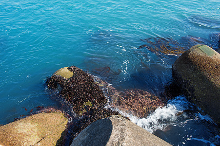 沿海海滨橙子季节场景海岸线蓝色岩石日落海岸支撑海洋图片